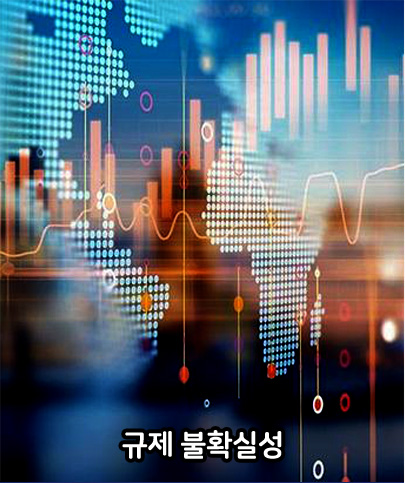 규제 불확실성